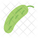 پیش‌نمایش فایل cucumber-9028185 از پک سبزیجات