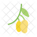 آیکن