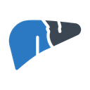 پیش‌نمایش فایل liver-1506912 از پک پزشکی