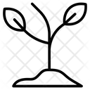 پیش‌نمایش فایل plant-1775837 از پک کمپینگ