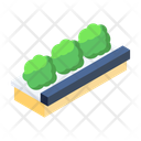 پیش‌نمایش فایل green-plant-15150286 از پک رستوران