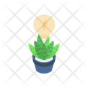 پیش‌نمایش فایل plant-15550251 از پک اکوسیستم