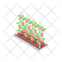 پیش‌نمایش فایل greenhouse-15600384 از پک مزرعه ارگانیک و هوشمند