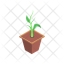 پیش‌نمایش فایل plant-15600319 از پک مزرعه ارگانیک و هوشمند