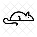 پیش‌نمایش فایل rat-1909248 از پک زیست‌شناسی