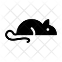 پیش‌نمایش فایل rat-1909343 از پک زیست‌شناسی