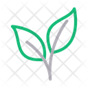پیش‌نمایش فایل leaf-1909466 از پک زیست‌شناسی