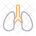 پیش‌نمایش فایل lungs-1909462 از پک زیست‌شناسی