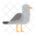پیش‌نمایش فایل bird-1978890 از پک حیوانات دریایی