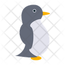 پیش‌نمایش فایل penguin-1978866 از پک حیوانات دریایی