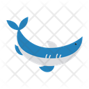 پیش‌نمایش فایل shark-1978876 از پک حیوانات دریایی