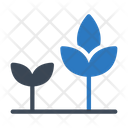پیش‌نمایش فایل plant-1971878 از پک طبیعت