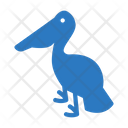 پیش‌نمایش فایل seagull-1971866 از پک طبیعت