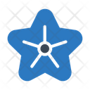 پیش‌نمایش فایل starfish-1971860 از پک طبیعت