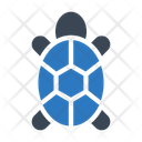 پیش‌نمایش فایل turtle-1971841 از پک طبیعت