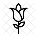 پیش‌نمایش فایل flower-1970891 از پک طبیعت