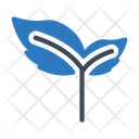 پیش‌نمایش فایل leaf-1971814 از پک طبیعت