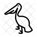 پیش‌نمایش فایل seagull-1971000 از پک طبیعت