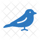 پیش‌نمایش فایل bird-1971785 از پک طبیعت