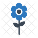 پیش‌نمایش فایل flower-1971754 از پک طبیعت