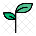 پیش‌نمایش فایل leaf-2405545 از پک رایحه‌درمانی