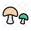 پیش‌نمایش فایل mushroom-2406365 از پک فصل پاییز