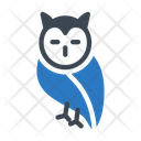 پیش‌نمایش فایل owl-2406497 از پک فصل پاییز