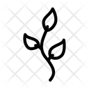 پیش‌نمایش فایل leaf-2406101 از پک ستاره‌شناسی (اختربینی)