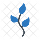 پیش‌نمایش فایل leaf-2406264 از پک ستاره‌شناسی (اختربینی)