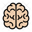 پیش‌نمایش فایل brain-2408914 از پک زیست‌فناوری