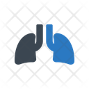 پیش‌نمایش فایل lungs-2419186 از پک پزشک و متخصص