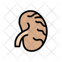پیش‌نمایش فایل kidney-2418999 از پک پزشک و متخصص
