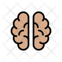 پیش‌نمایش فایل brain-2419520 از پک مهندسی و نقشه‌برداری