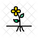 پیش‌نمایش فایل flower-plant-2426165 از پک باغ و فضای سبز
