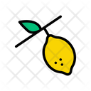 پیش‌نمایش فایل lemon-2426197 از پک باغ و فضای سبز