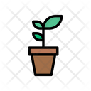 پیش‌نمایش فایل growth-plant-2426227 از پک باغ و فضای سبز