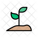 پیش‌نمایش فایل soil-plant-2426210 از پک باغ و فضای سبز