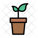 پیش‌نمایش فایل growth-plant-2428653 از پک خدمات هتل