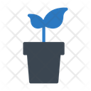 پیش‌نمایش فایل growth-plant-2428849 از پک خدمات هتل