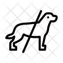 پیش‌نمایش فایل restricted-dog-2429966 از پک آگاهی از عفونت و ایمنی