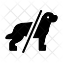 پیش‌نمایش فایل restricted-dog-2430083 از پک آگاهی از عفونت و ایمنی