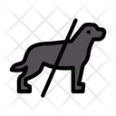 پیش‌نمایش فایل restricted-dog-2430028 از پک آگاهی از عفونت و ایمنی
