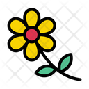 پیش‌نمایش فایل flower-2435765 از پک عشق و ازدواج