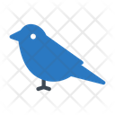 پیش‌نمایش فایل bird-2441092 از پک خدمات حیوانات خانگی