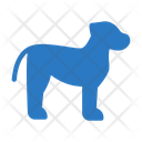 پیش‌نمایش فایل dog-2441101 از پک خدمات حیوانات خانگی