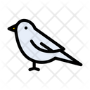 پیش‌نمایش فایل bird-2441033 از پک خدمات حیوانات خانگی