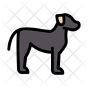 پیش‌نمایش فایل dog-2441042 از پک خدمات حیوانات خانگی