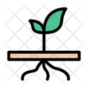 پیش‌نمایش فایل roots-plant-2421050 از پک کشاورزی و باغبانی