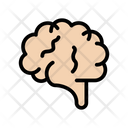 پیش‌نمایش فایل brain-2436392 از پک چکاپ و معاینه پزشکی