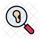 پیش‌نمایش فایل ear-checkup-2436430 از پک چکاپ و معاینه پزشکی